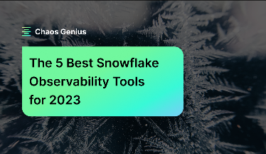 best snowflake observablity tool